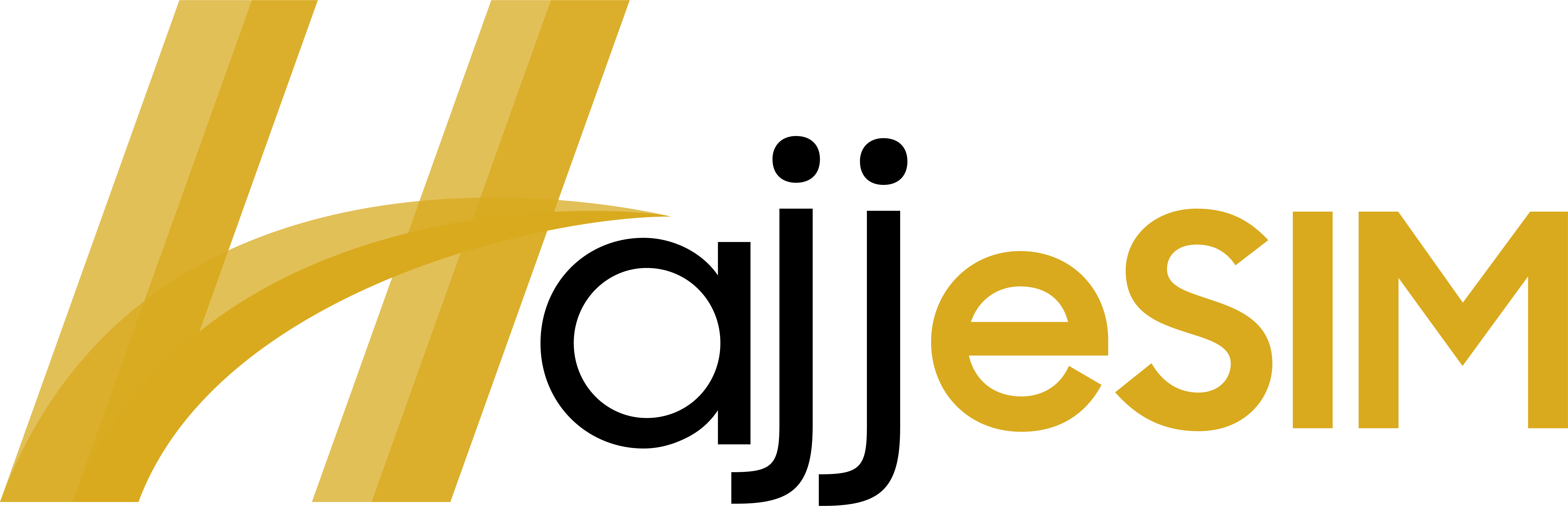 HajjeSIM Logo